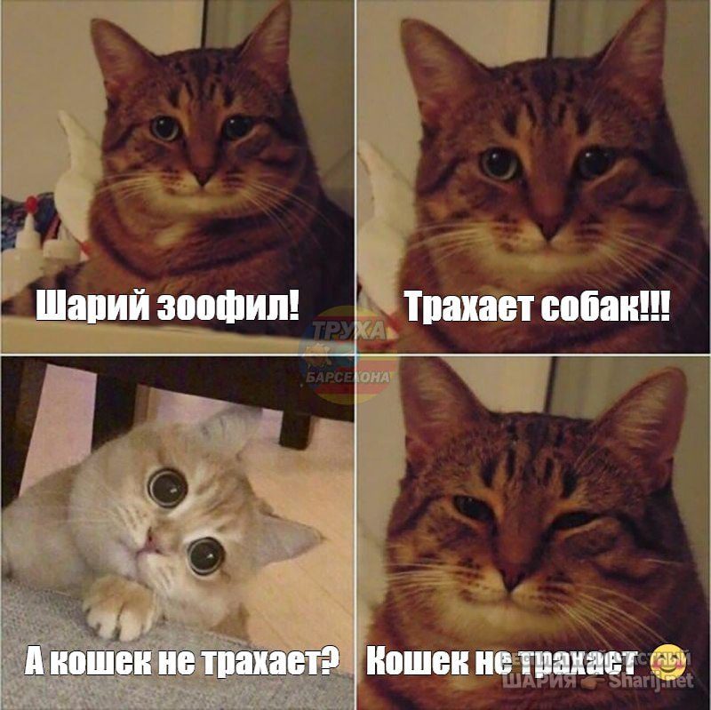 Труха Барселона — фото из публикации
