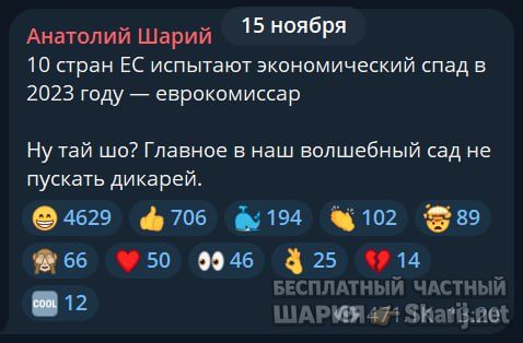 Труха Барселона — фото из публикации