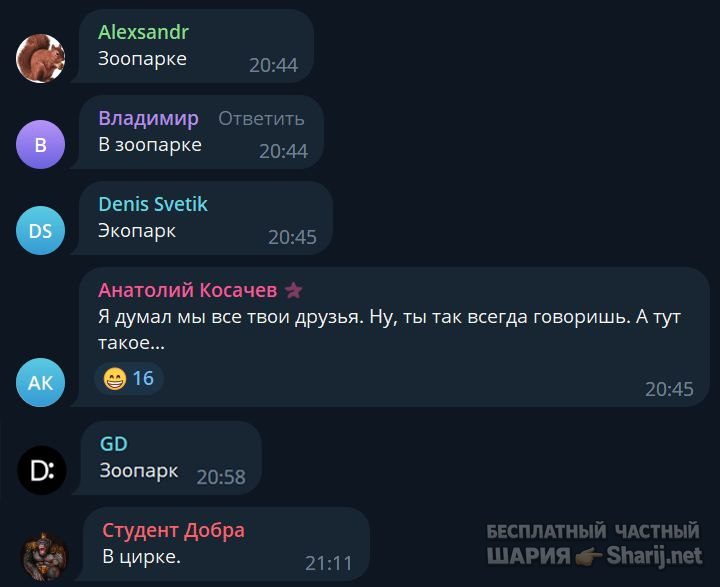Труха Барселона — фото из публикации