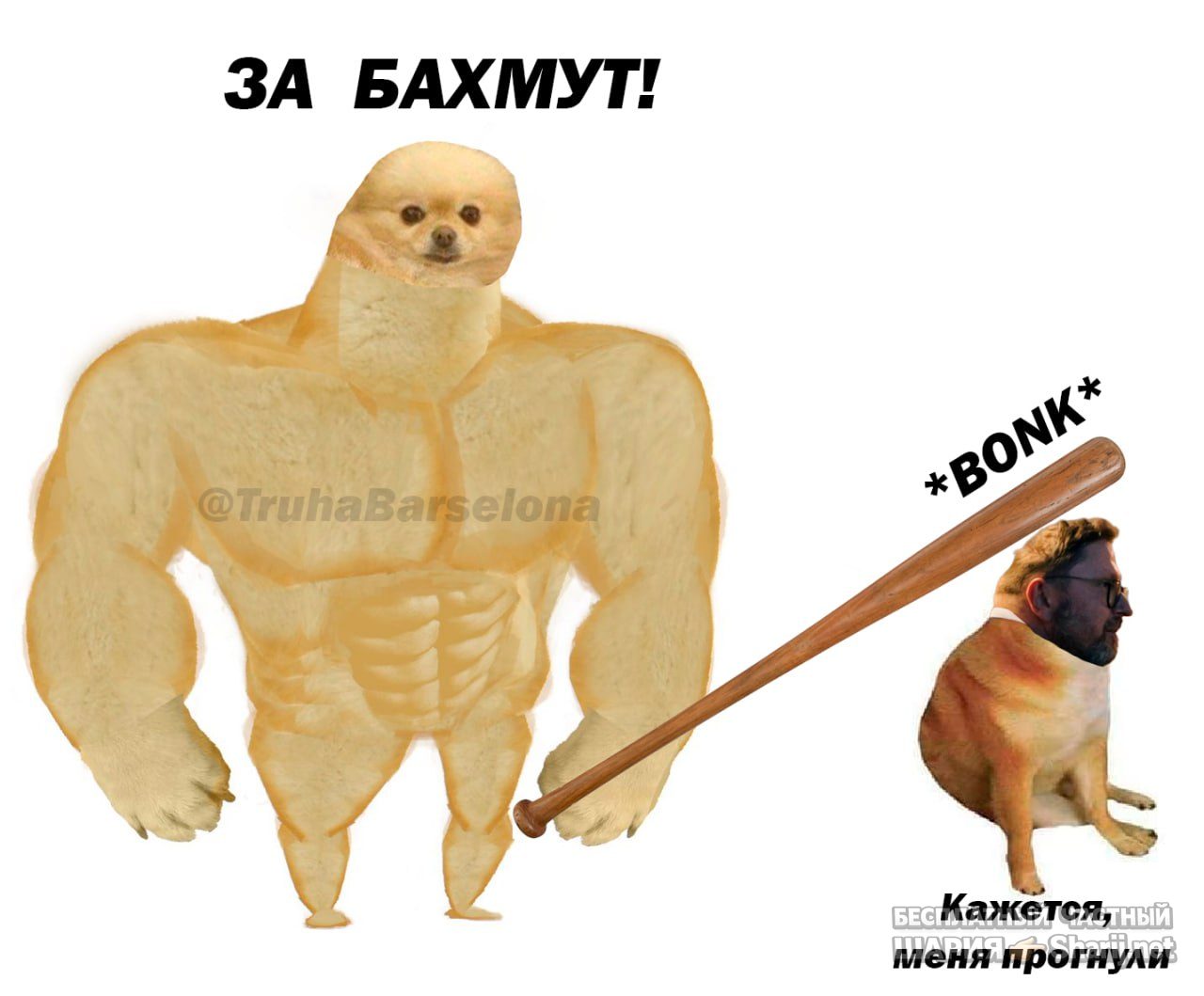 Труха Барселона — фото из публикации