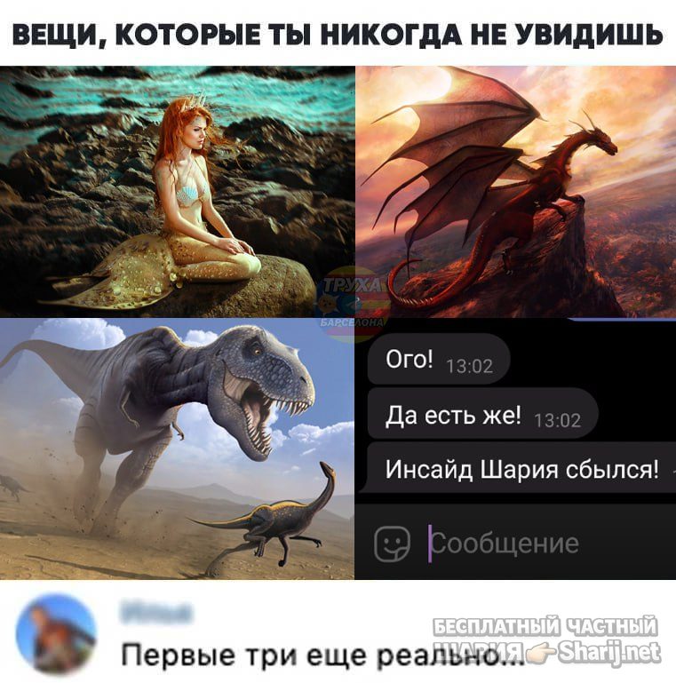 Труха Барселона — фото из публикации