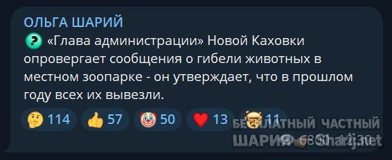 Труха Барселона — фото из публикации