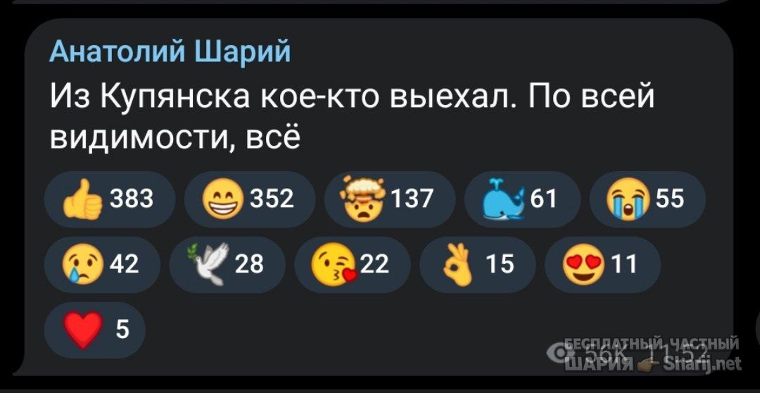 Труха Барселона — фото из публикации