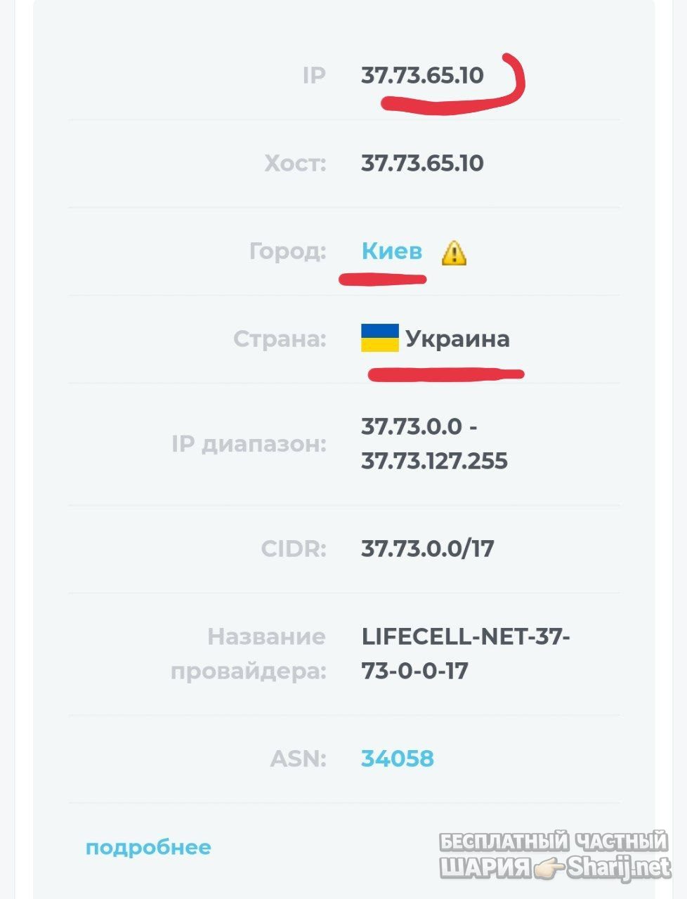 Труха Барселона — фото из публикации