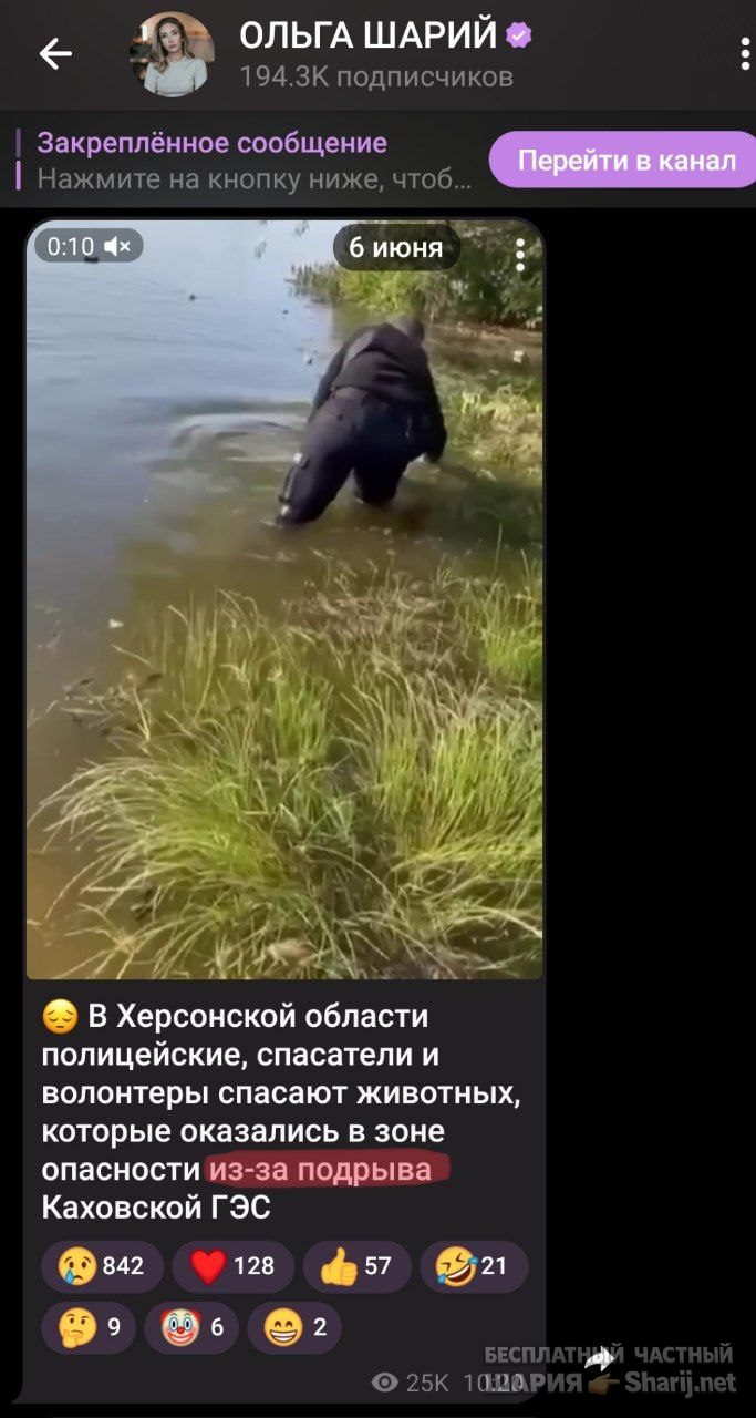 Труха Барселона — фото из публикации