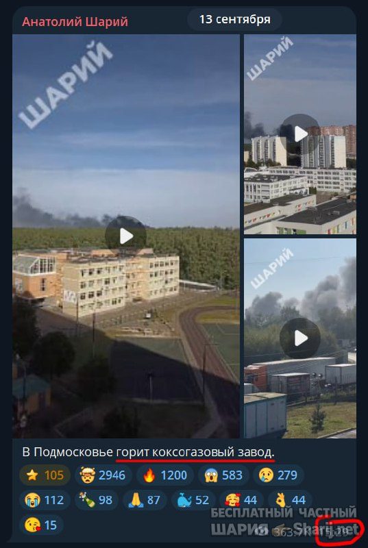 Труха Барселона — фото из публикации