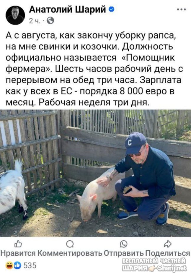 Труха Барселона — фото из публикации