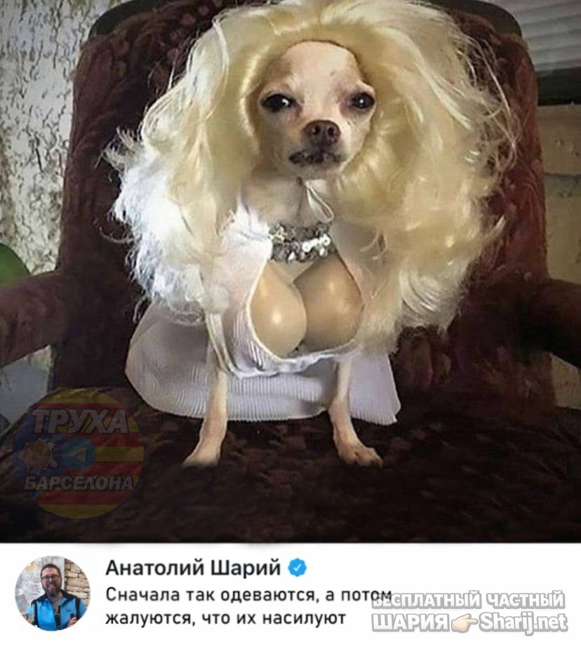 Труха Барселона — фото из публикации