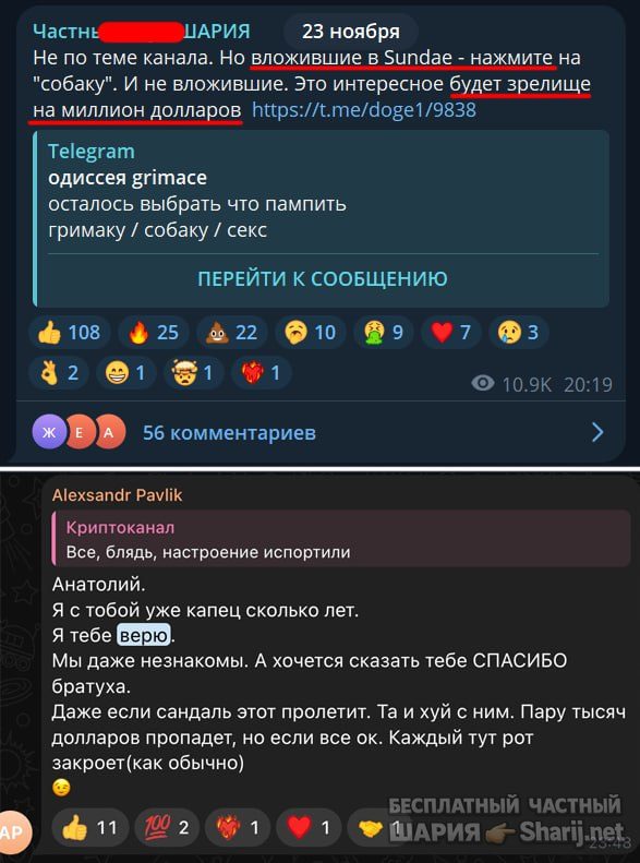 Труха Барселона — фото из публикации