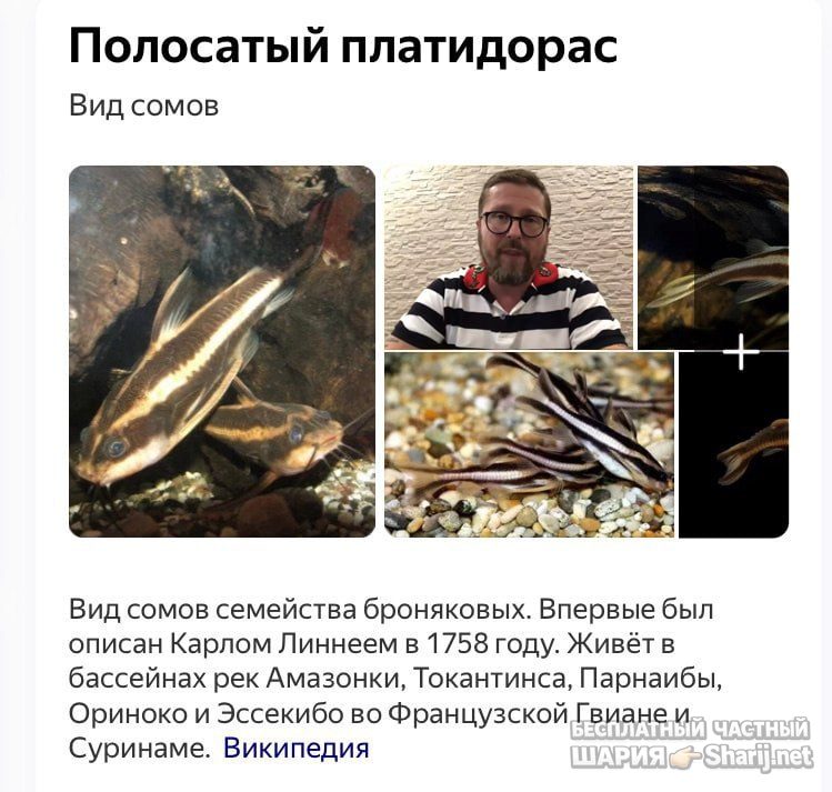 Труха Барселона — фото из публикации