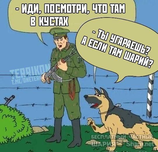 Труха Барселона — фото из публикации