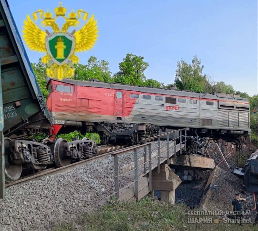 Труха Барселона — фото из публикации