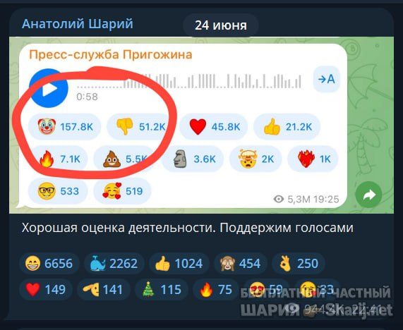 Труха Барселона — фото из публикации