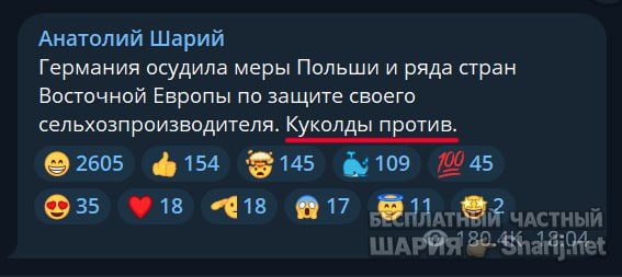 Труха Барселона — фото из публикации