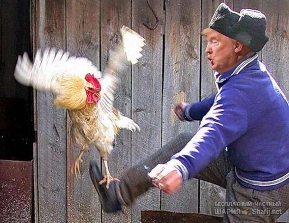 Труха Барселона — фото из публикации
