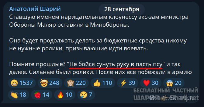 Труха Барселона — фото из публикации