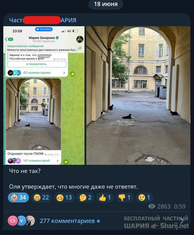 Труха Барселона — фото из публикации