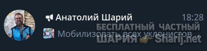 Труха Барселона — фото из публикации