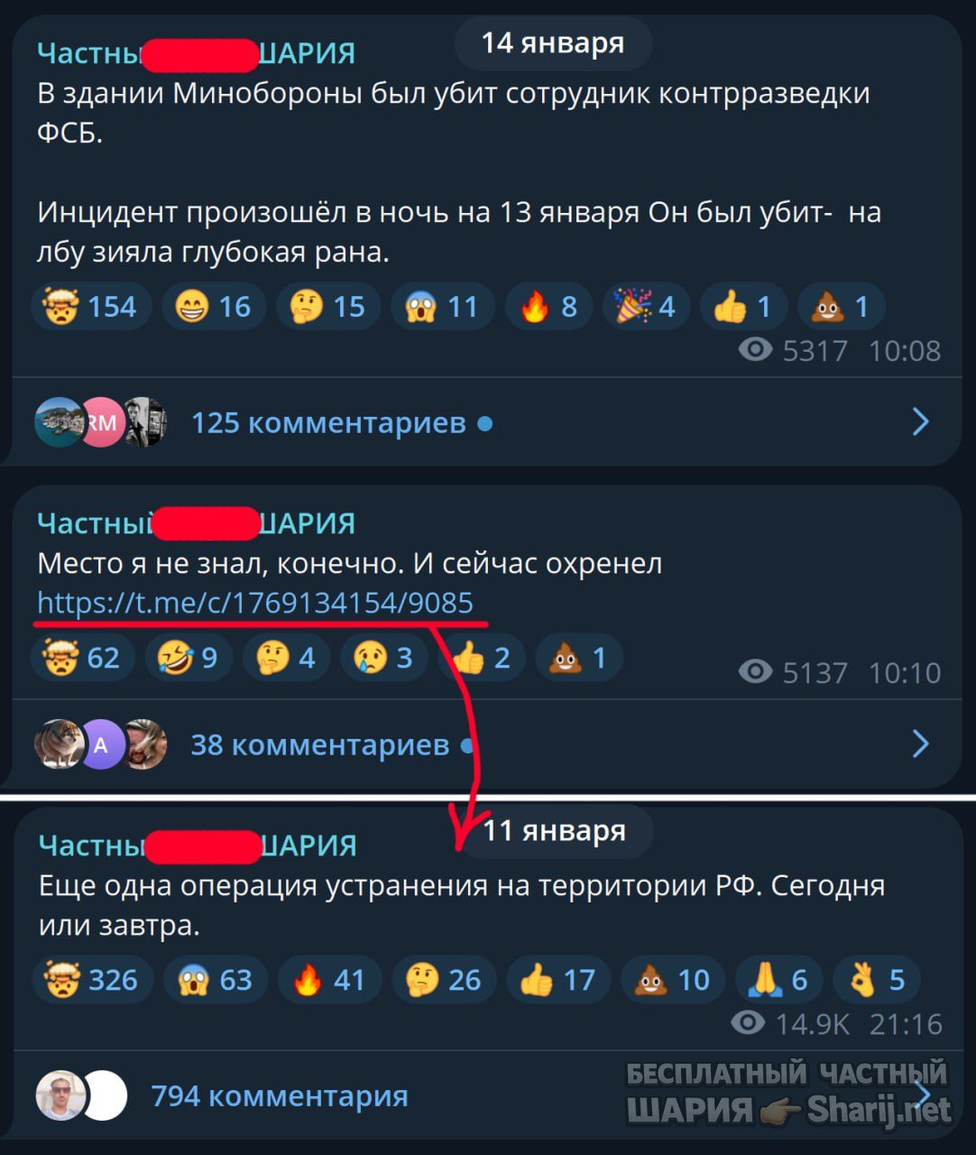 Труха Барселона — фото из публикации