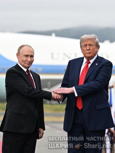 Труха Барселона — фото из публикации