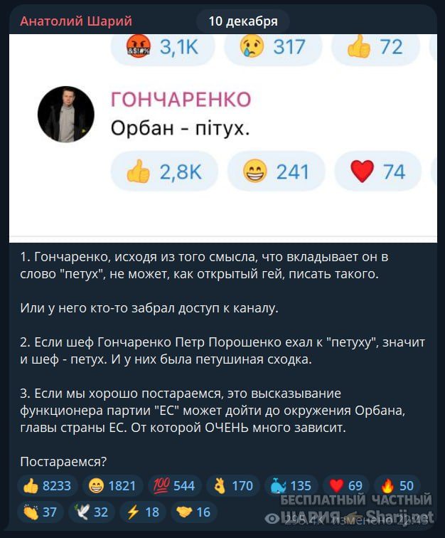 Труха Барселона — фото из публикации