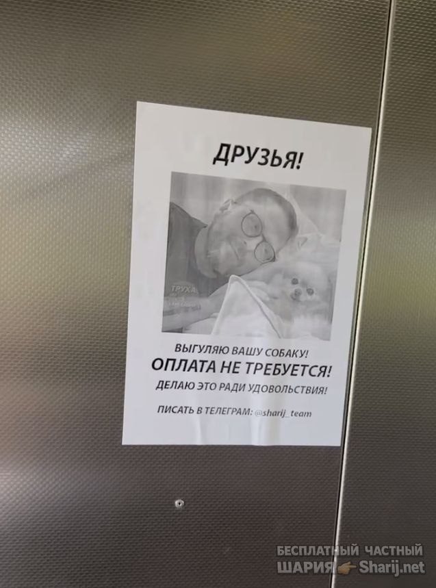 Труха Барселона — фото из публикации