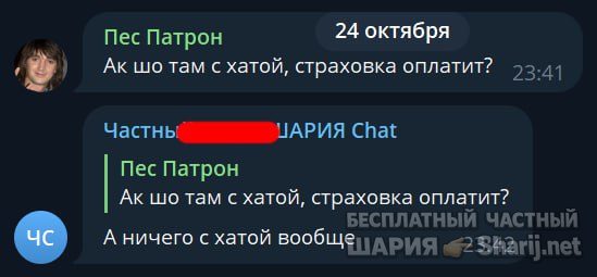 Труха Барселона — фото из публикации