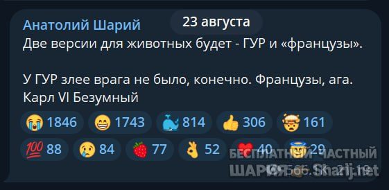 Труха Барселона — фото из публикации
