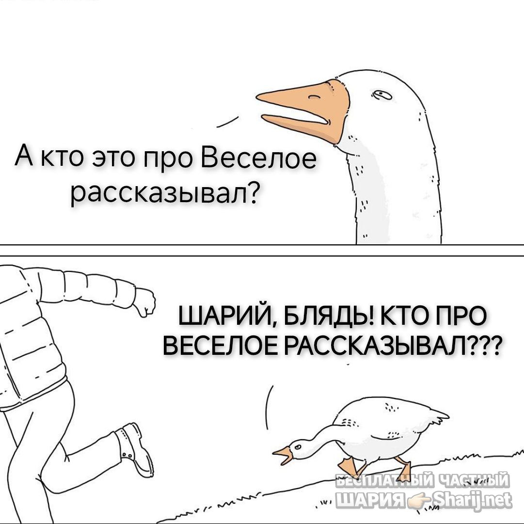 Труха Барселона — фото из публикации