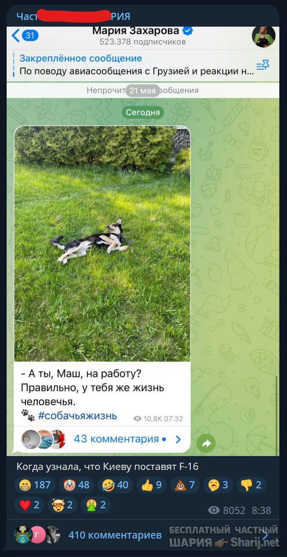 Труха Барселона — фото из публикации
