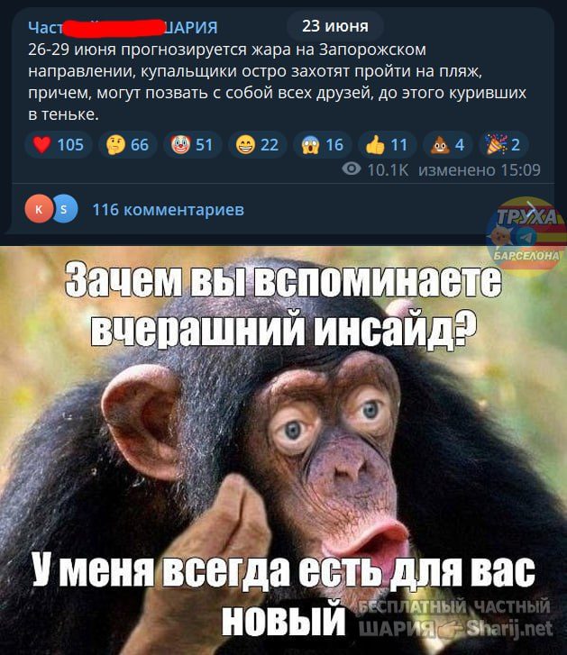 Труха Барселона — фото из публикации