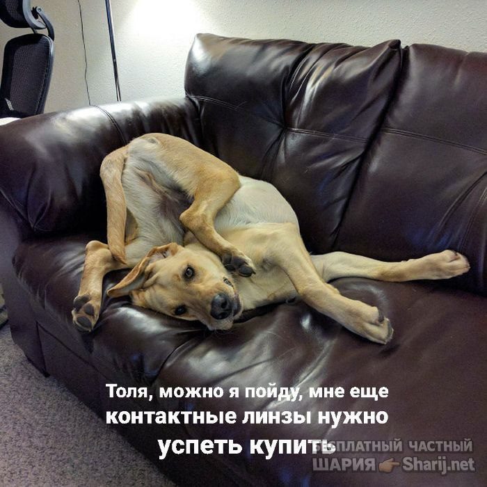 Труха Барселона — фото из публикации