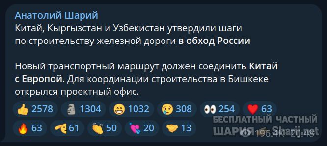 Труха Барселона — фото из публикации