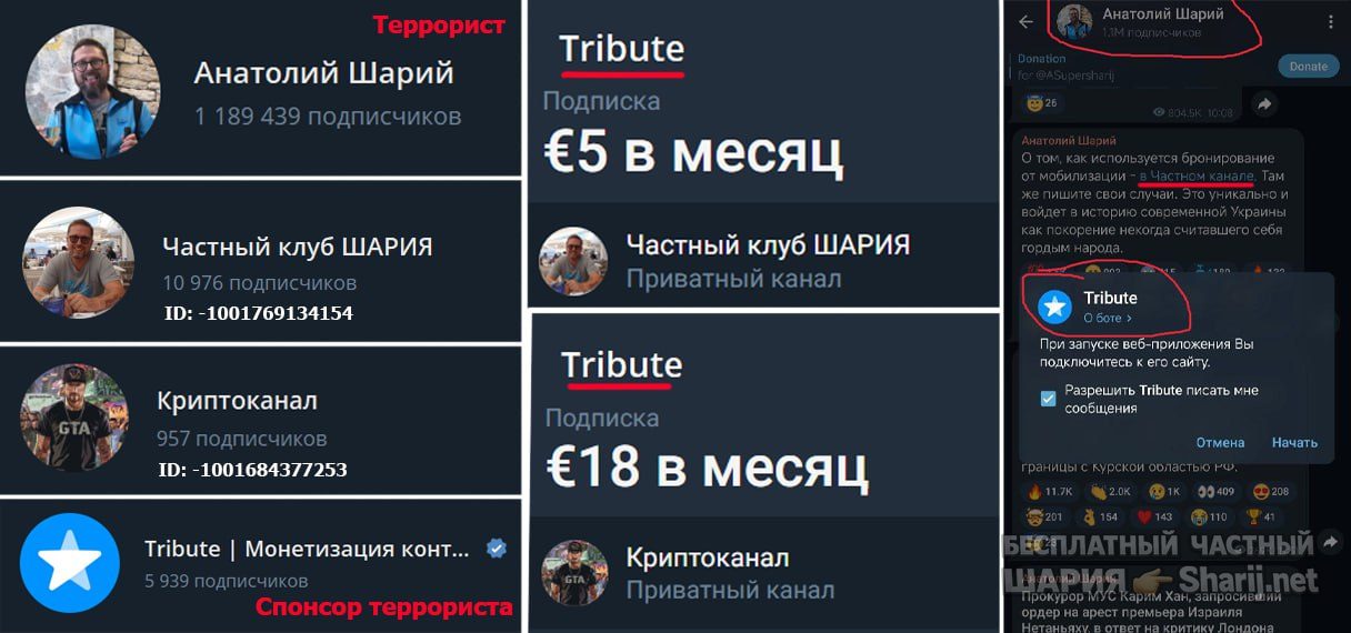 Труха Барселона — фото из публикации