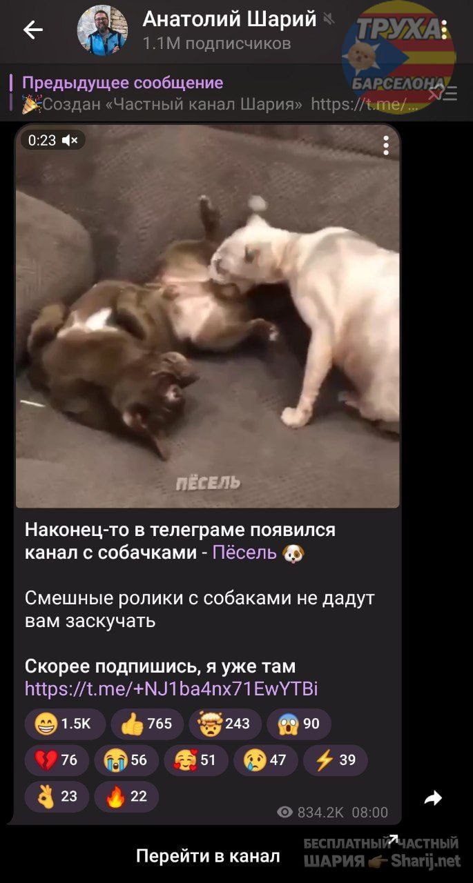 Труха Барселона — фото из публикации