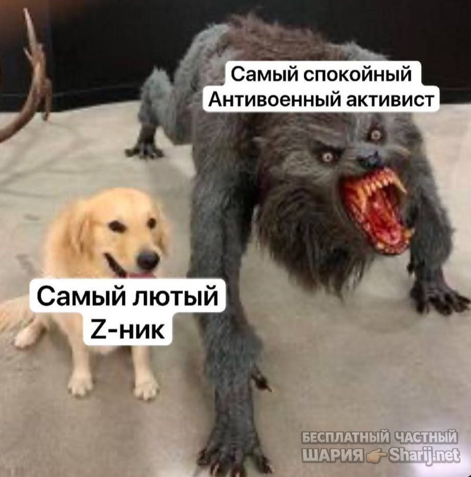 Труха Барселона — фото из публикации