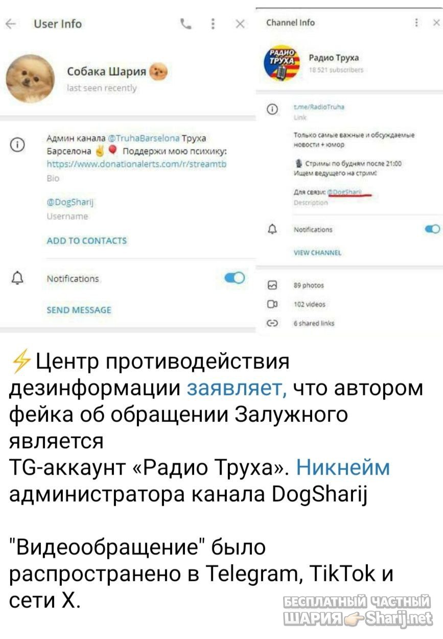 Труха Барселона — фото из публикации