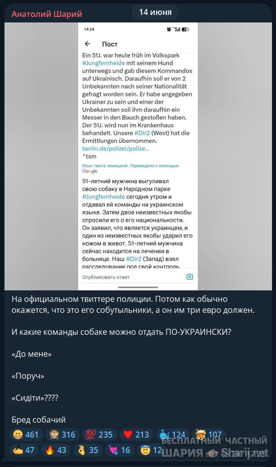 Труха Барселона — фото из публикации