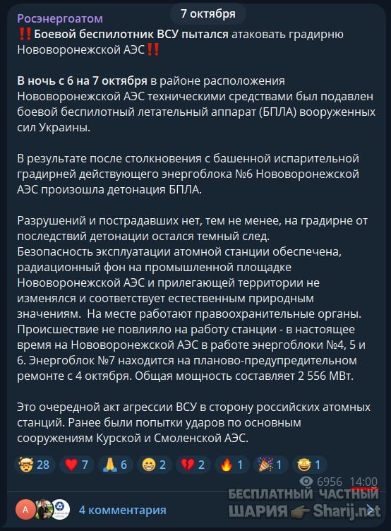 Труха Барселона — фото из публикации