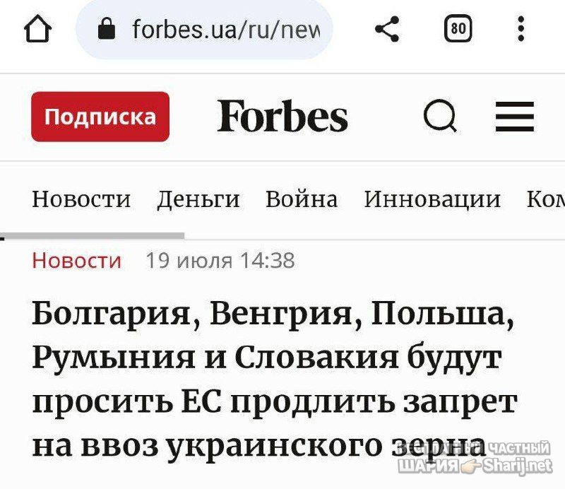 Труха Барселона — фото из публикации