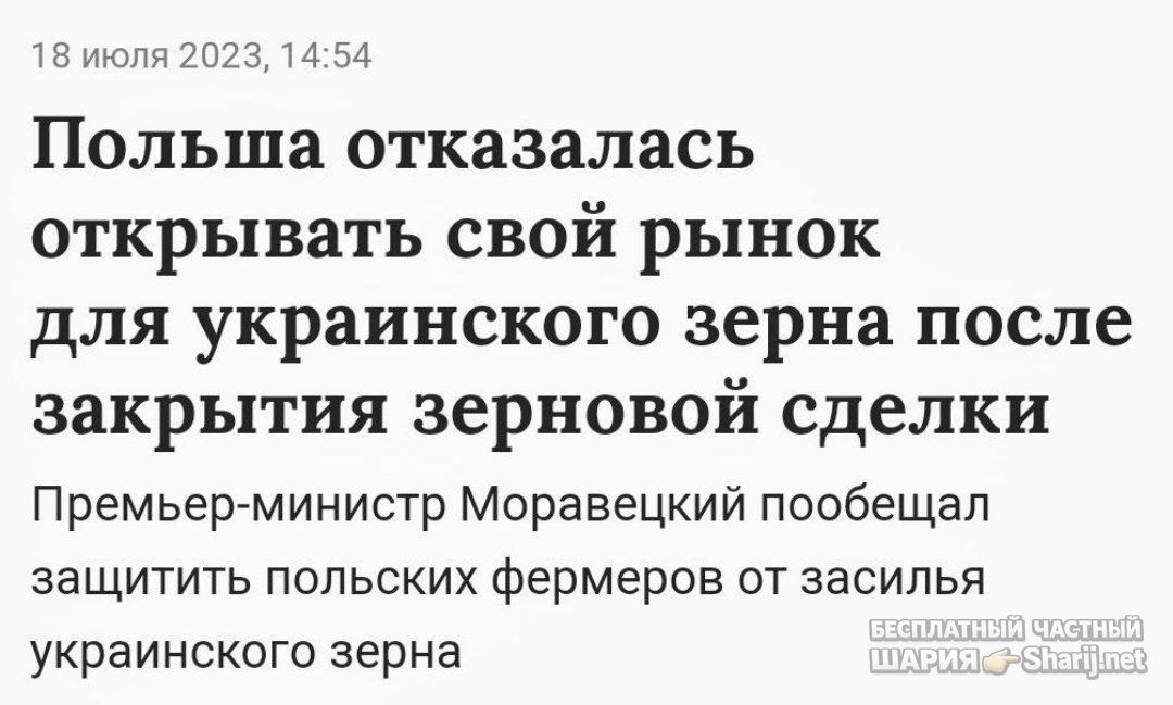 Труха Барселона — фото из публикации