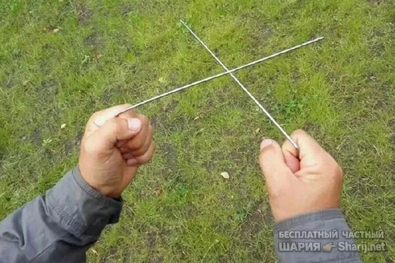 Труха Барселона — фото из публикации