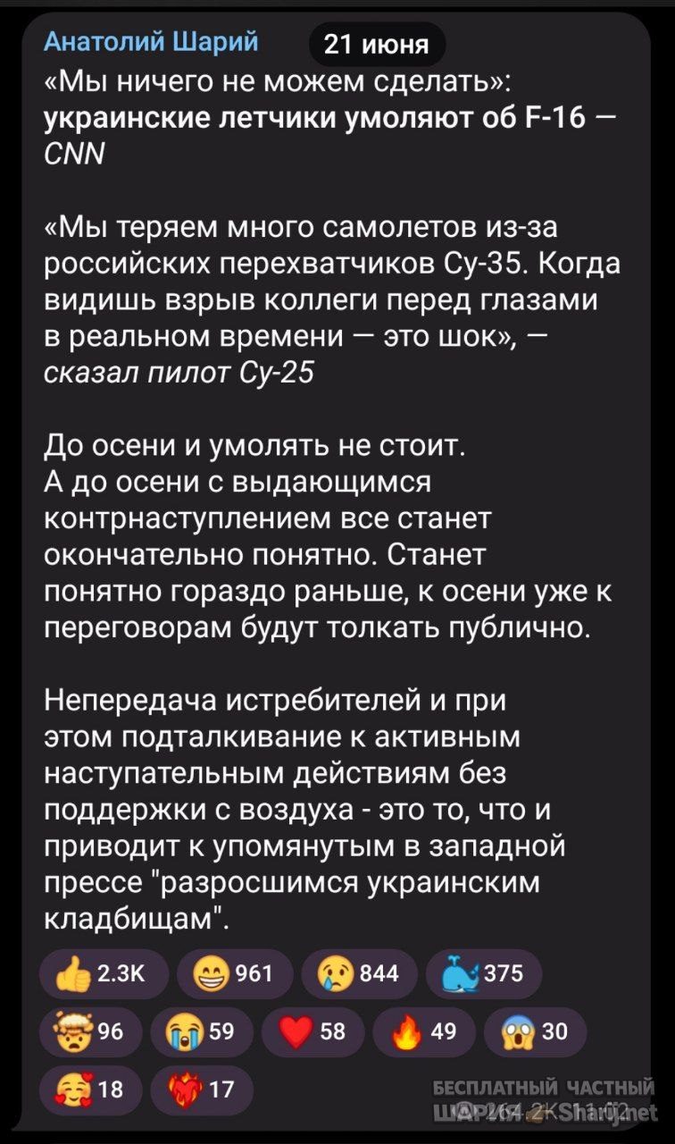 Труха Барселона — фото из публикации