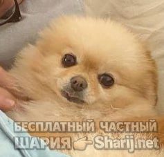 Труха Барселона — фото из публикации