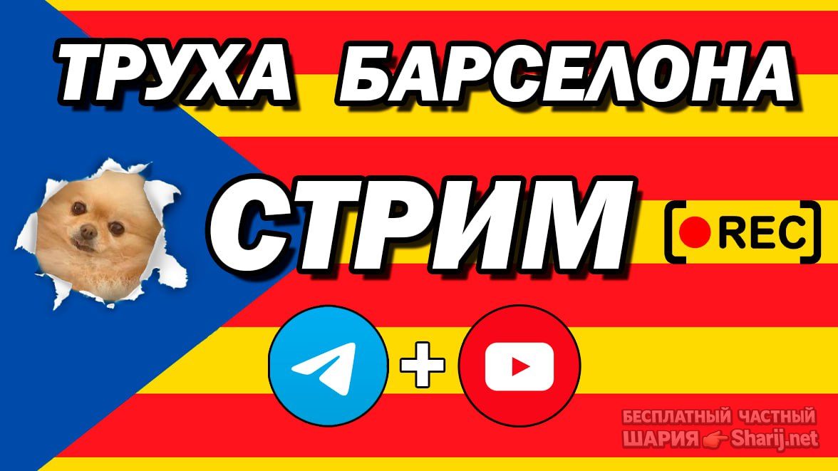 Труха Барселона — фото из публикации