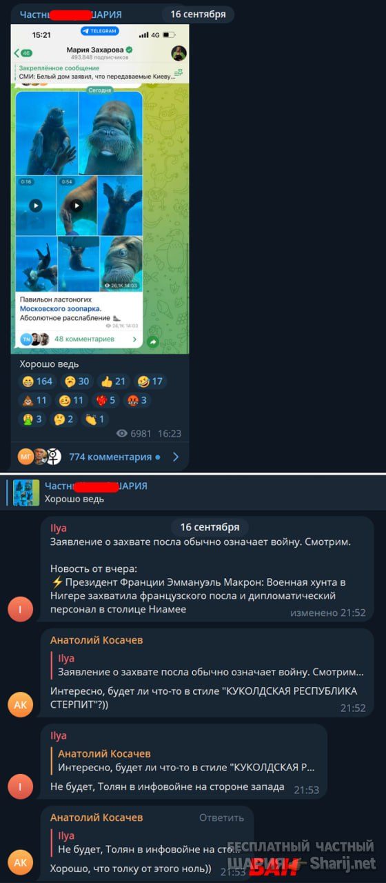 Труха Барселона — фото из публикации