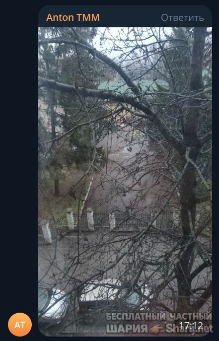 Труха Барселона — фото из публикации
