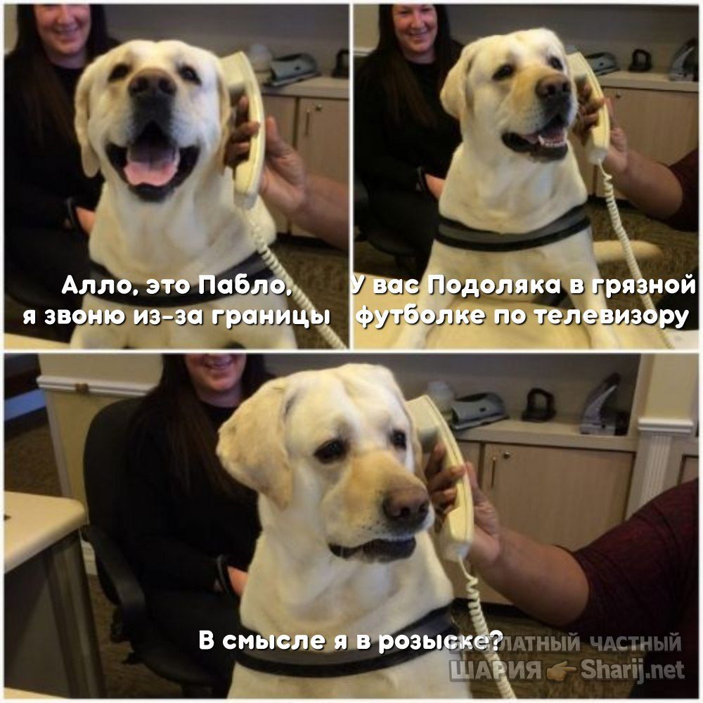 Труха Барселона — фото из публикации