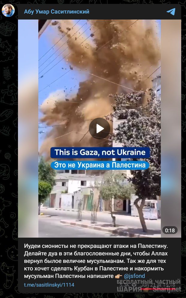 Труха Барселона — фото из публикации