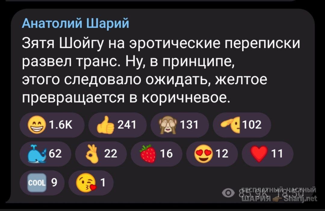 Труха Барселона — фото из публикации